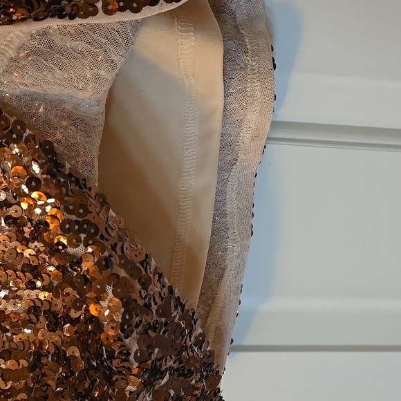 Sequin Ombre Skirt - Picture 5 of 6